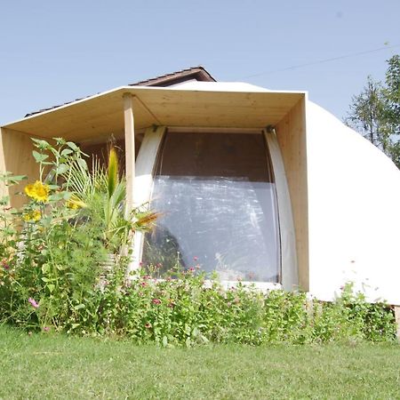 Rose-Marie'S Paradies Aesch (Basel-Landschaft) Exterior foto