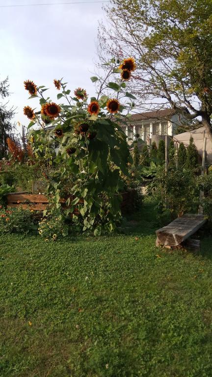 Rose-Marie'S Paradies Aesch (Basel-Landschaft) Exterior foto