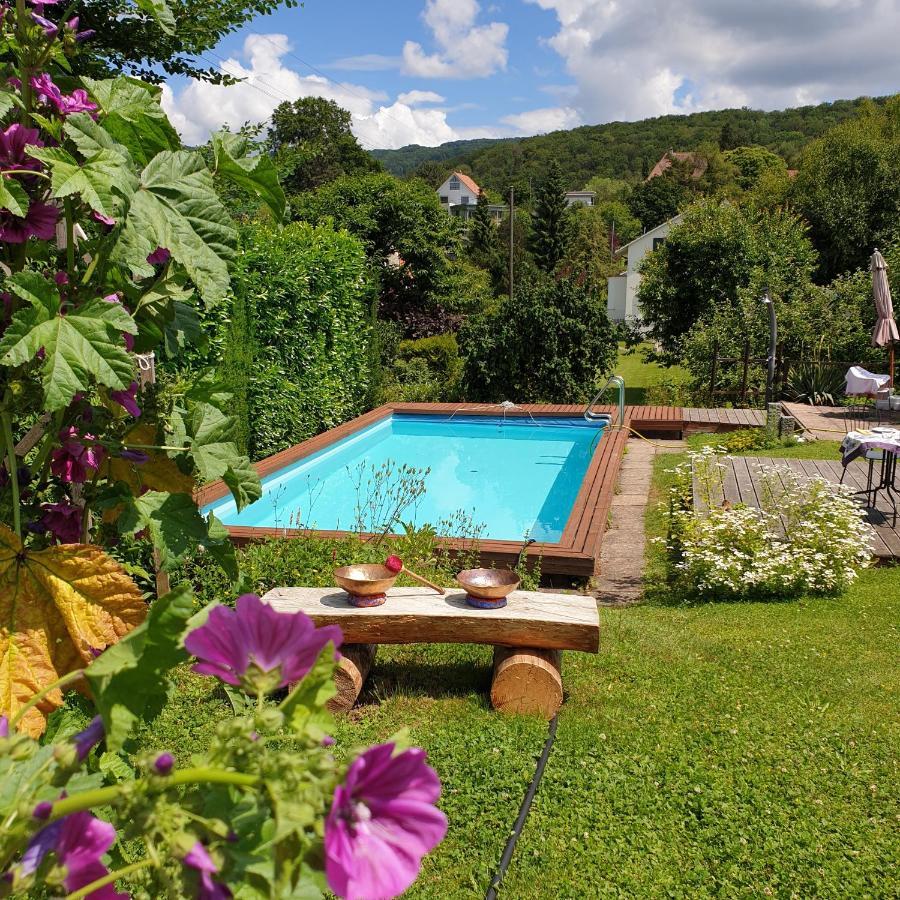 Rose-Marie'S Paradies Aesch (Basel-Landschaft) Exterior foto